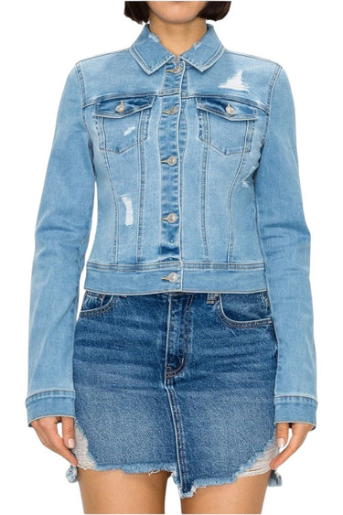SaltTree Wax Jean medium blue destructed denim trucker jacket with button front and chest pockets on a model