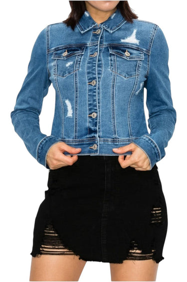 SaltTree Wax Jean medium blue destructed denim trucker jacket with button front and chest pockets on a model